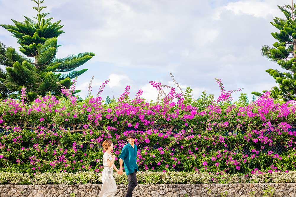 プランイメージ2