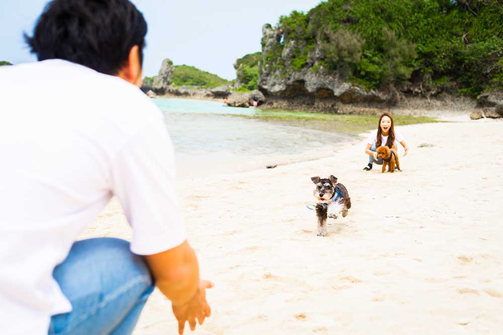 プランイメージ4